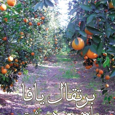 برتقال يافا ياسمين دمشق